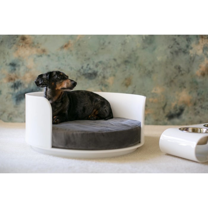Designer pet lounger bed