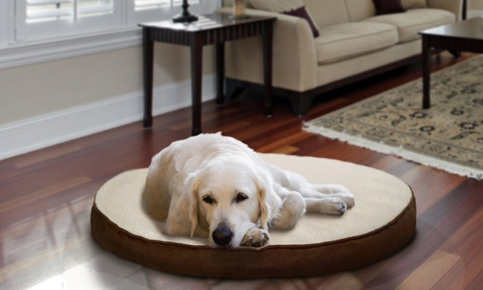 OrthoLuxe Mattress for Dogs with Arthritis - VetRelieve Therapeutic orthopedic pet mattress