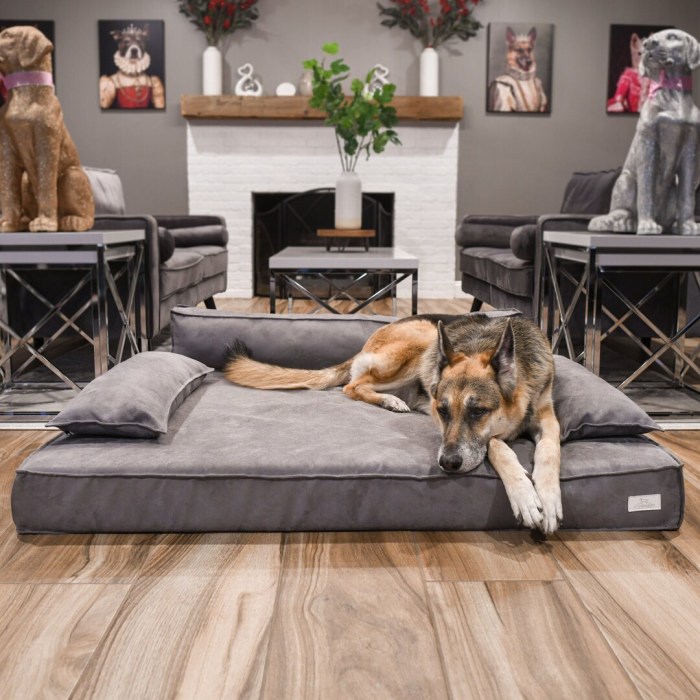 Orthopedic dog bed with memory foam