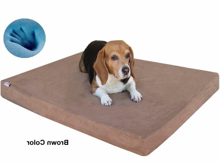 Orthopedic dog bed with memory foam